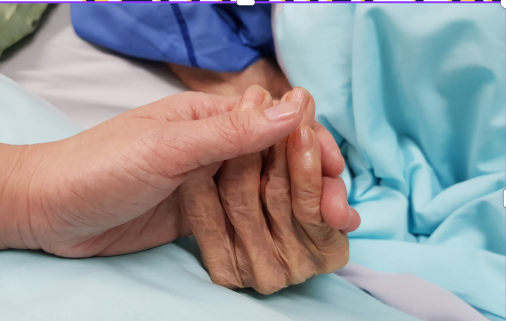 Palliative and hospice experience